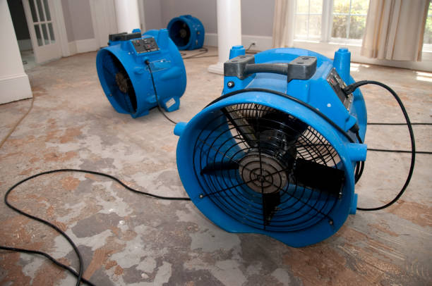 Best Sewage cleanup and water damage restoration  in Amery, WI