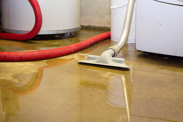 Trusted Amery, WI Water damage restoration Experts