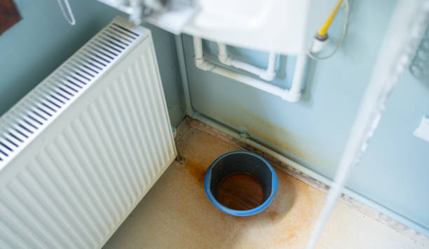 Best Local water damage restoration  in Amery, WI